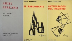 Algunas de las tapas de los libros de Ferraro.