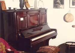 Este es el piano que escuchaba habitualmente Don Ata, ejecutado por su compañera "Nenette" Chavero (Casa Museo Atahualpa Yupanqui, Cerro Colorado) (Foto: Ricardo Acebal)