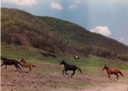 Actual campo donde se desarrolló la Batalla de Salta el 20-2-1813