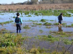 Humedal de Rocha, Provincia de Buenos Aires