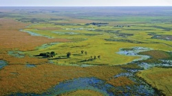 Lagunas y Esteros del Iberá: sector de Yaguareté Corá 