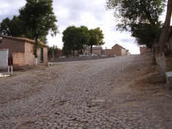 Yavi