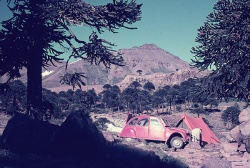 Mi vieja, apreciando los rápidos del río Agrio (territorio de la reserva mapuche-tehuelche, Neuquén) y ordenando un poco el "campamento", en territorio aborigen, pero de libre acceso. Por la mañana pasaron dos hermanos mapuche a caballo, quienes nos saludaron cordialmente y siguieron su camino. Año 1980.