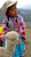 Amiguitas peruanas. Cuando crezcan, una brindará su lana esquilada, la otra tejerá con ella, como su mamá, como su abuela...