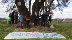 El sitio "Tres Ombúes" hoy, devastado por mafiosos que hacen un negocio similar inmobiliario al que hacen sus "colegas porteños",a quienes  el gobierno de la Ciudad de Buenos Aires les "vendió" 150.000 metros cuadrados de tierras fiscales.Foto "Página 12"