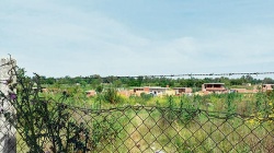 El "rioba" de Orellana. Un lugar donde poder asentarse. Para sus habitantes "está todo mal". Foto: "Página 12".