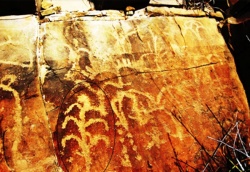 El maíz presente en los petroglifos (pinturas en las piedras) que realizaron nuestros antepasados hace miles de años. El que se muestra es de Huizachal, México.