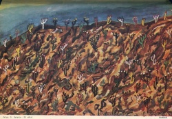 "Cardonal" por Felipa Saiquita (15 años)   