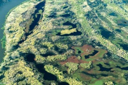 El Delta del Paraná, un humedal protegido. Pero...