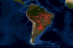72.843 incendios en Amazonas durante 2019. ¿Esta es la "normalidad" del 2019 a la que queremos volver?
