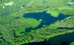 Esteros del Iberá, Provincia de Corrientes, integrante del formidable Acuífero Guaraní.