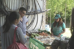 Unión de Trabajadores de la Tierra: El camino para alimentarse con vegetales cultivados sin abonos químicos ni pesticidas y pagando un precio justo, no el decidido por las maffias del mercado central.