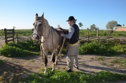 Patagónicos los dos: el jinete y su caballo, los campos de Patagones... (Foto: Claudia Goy).