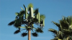 Antenas 4 y 5G "al natural" y después de instaladas "disfrazadas de árboles".