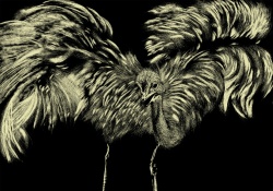 "Ñandú" xilografía de José Pedreros Prado. El ñandú nuestro no esconde la cabeza bajo la tierra como su pariente africano el avestruz. Cuando se lo ataca enfrenta la pelea. 